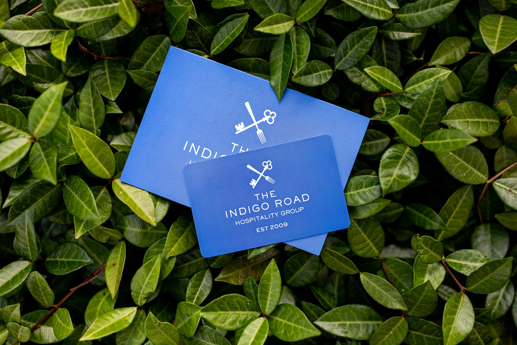 The Indigo Road Gift Cards